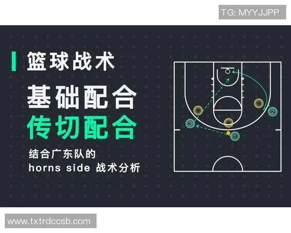 武汉篮球队战术表现深度分析与数据解读探讨实时数据