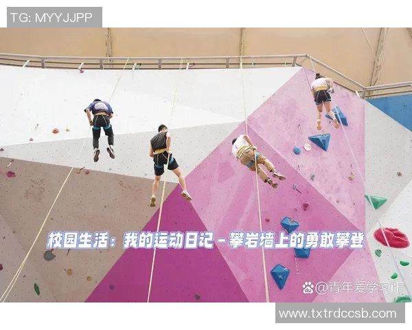 运动数据南京攀岩队状态解析与训练成果分享攀岩运动的未来展望与挑战